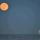 Illustration for article titled 21 Super Photos Of The Super Moon